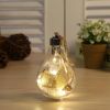 Transparent LED Hanging Bulbs – Winter Fairy Light Ornaments