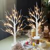 2 FT LED Birch Tree with Warm White Lights – Tabletop Christmas Decor