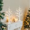 2 FT LED Birch Tree with Warm White Lights – Tabletop Christmas Decor