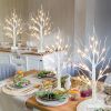 2 FT LED Birch Tree with Warm White Lights – Tabletop Christmas Decor