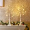 2 FT LED Birch Tree with Warm White Lights – Tabletop Christmas Decor